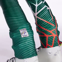 Spyder Mens World Cup Dh - Cypress Green CYPRESSGREEN Sale