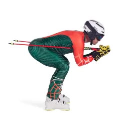 Spyder Mens World Cup Dh - Cypress Green CYPRESSGREEN Sale